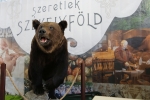 szekely_fesztival_2017_megnyito_(1).jpg