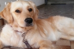 maggie.jpg