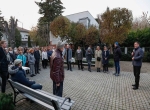 kiajanlo_napraforgo.jpg