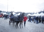 HidegkutiKarneval_kep.jpg